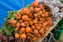 yellow_beets.jpg
